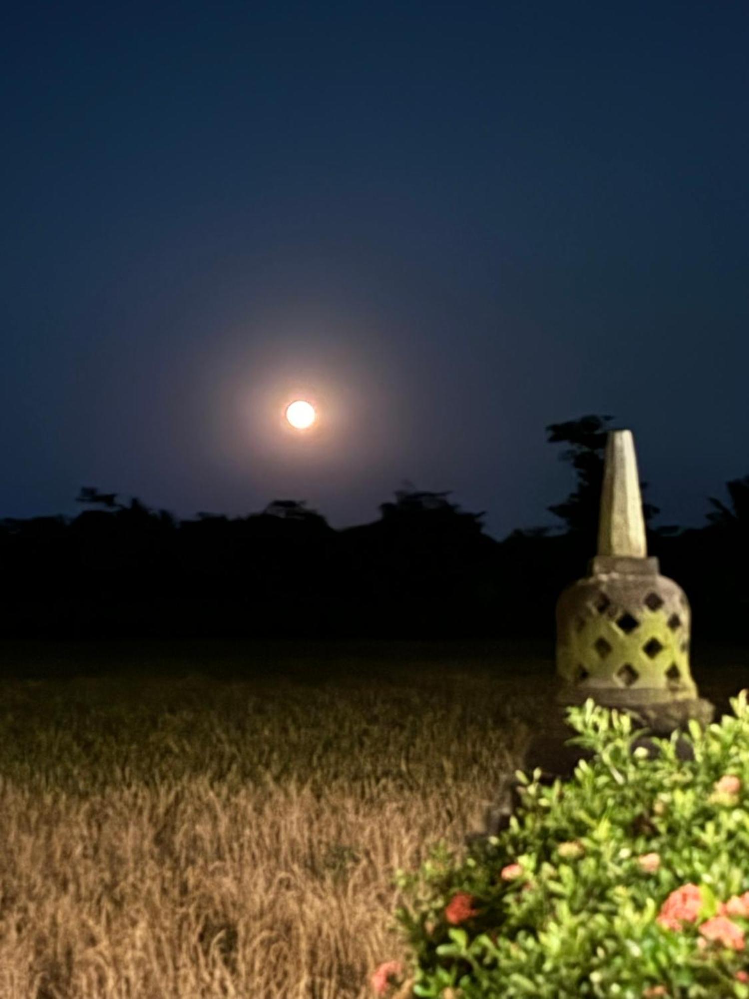 Rumah Dharma Magelang Eksteriør bilde